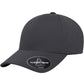 Flexfit Delta Snapback