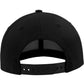 Curved Classic Snapback